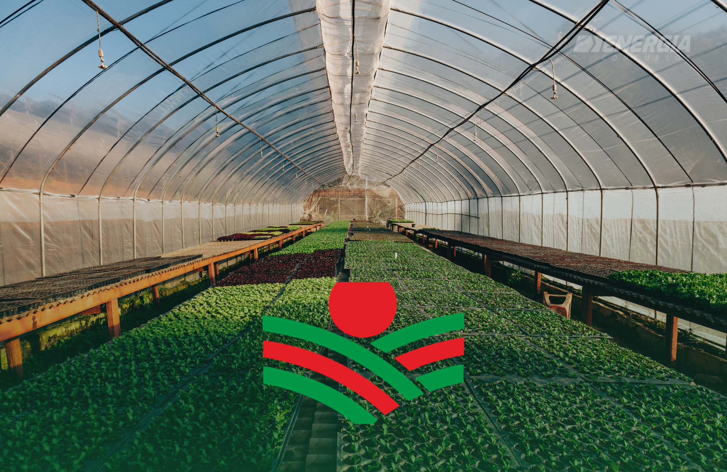 EPAGRI SC - Conhecimentos Gerais n�vel superior