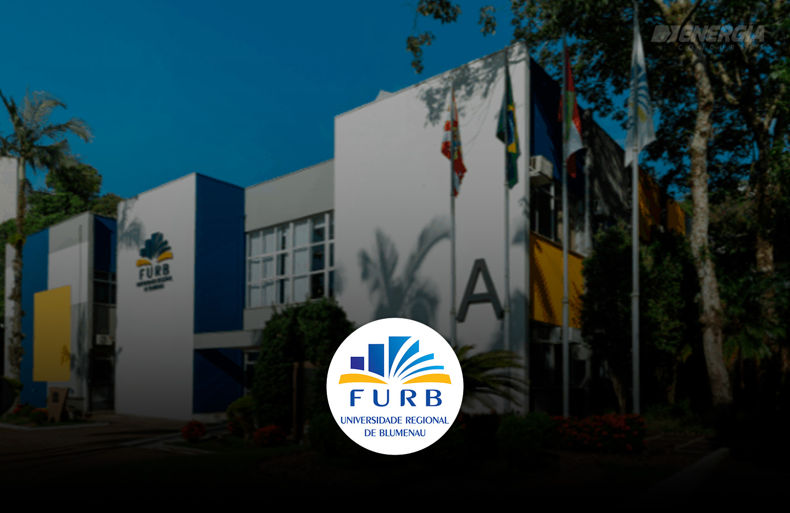 FURB - Assessor Pedag�gico