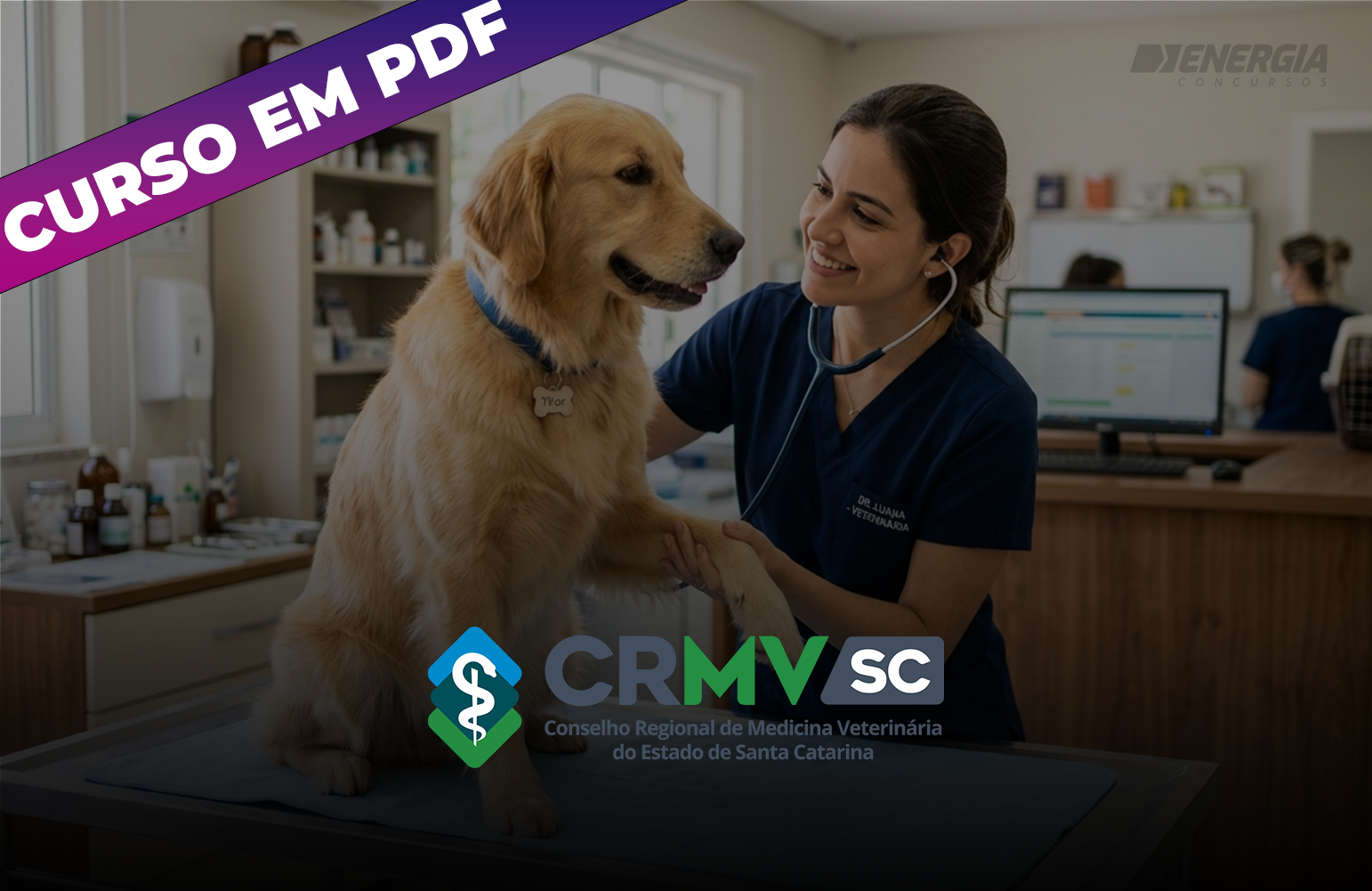 CRMV SC - Agente Fiscal - Curso em PDF