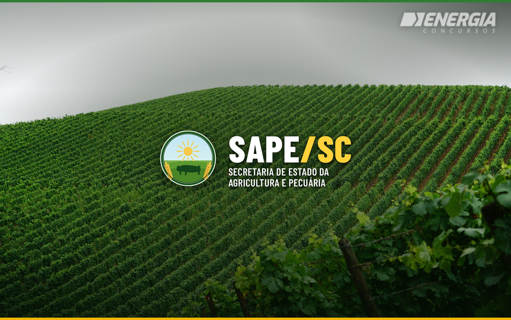 SAPE/SC - Analista T�cnico Administrativo II